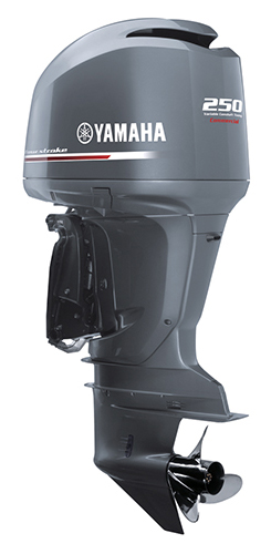 4 Stroke Commercial Outboard F250H