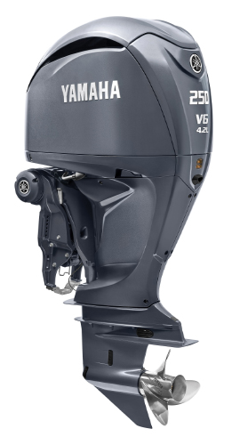 4 Stroke Offshore 4.2L F250