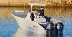 MS3300 Video link
